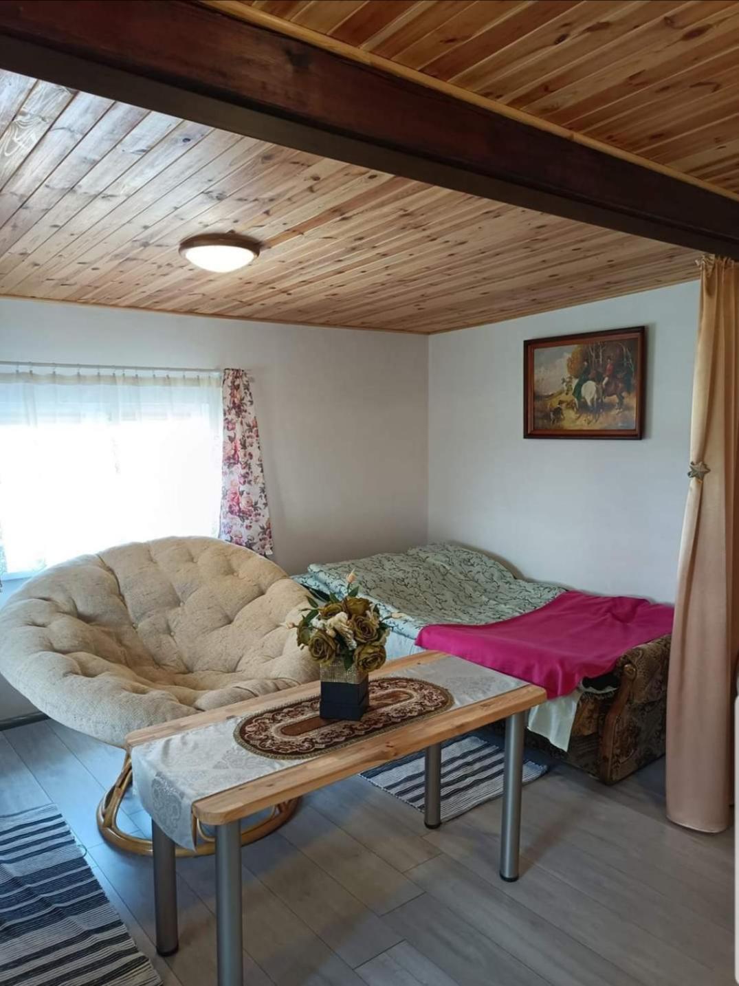 Wczasy Na Kaszubach U Hani Wiele Exterior foto