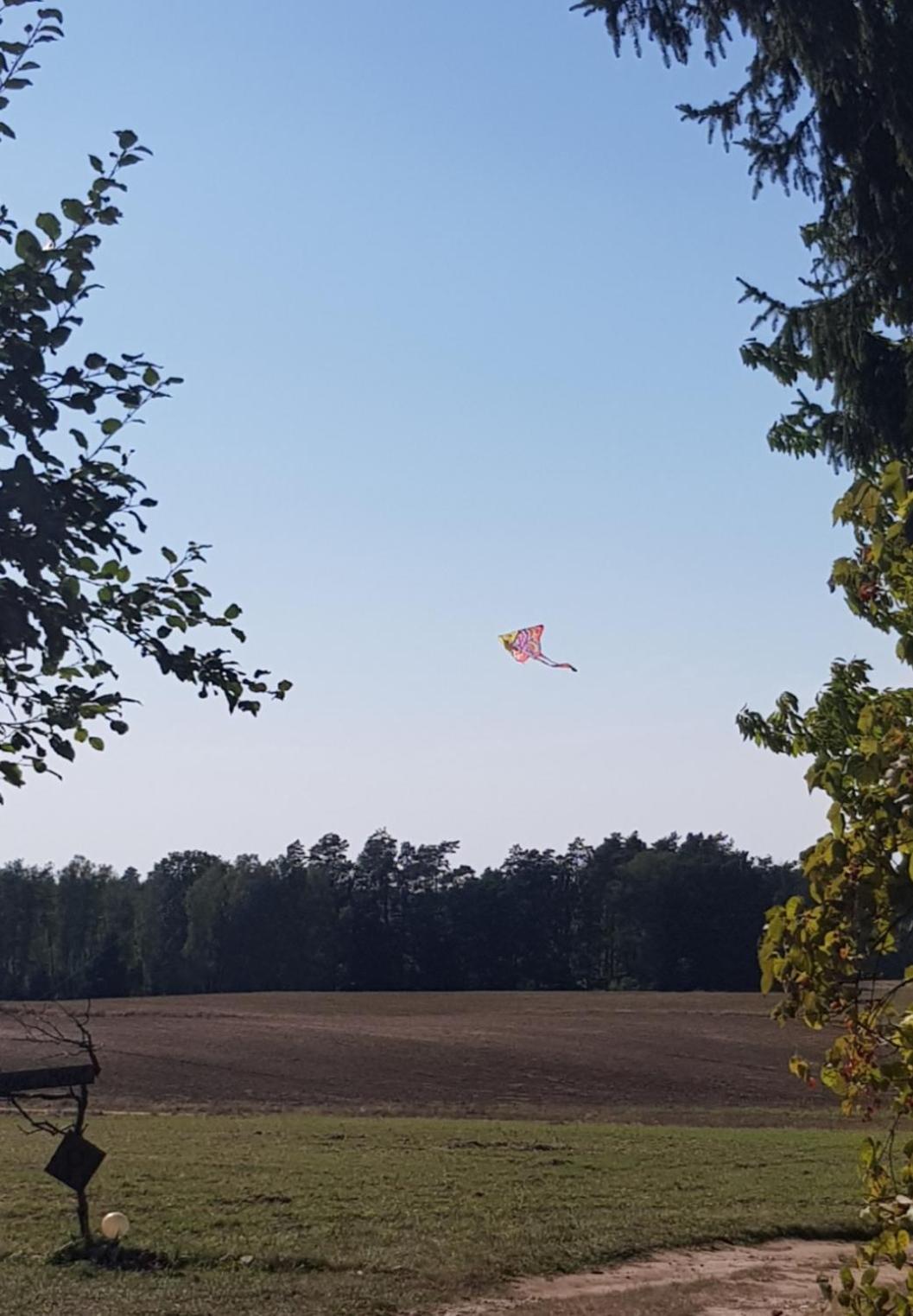Wczasy Na Kaszubach U Hani Wiele Exterior foto