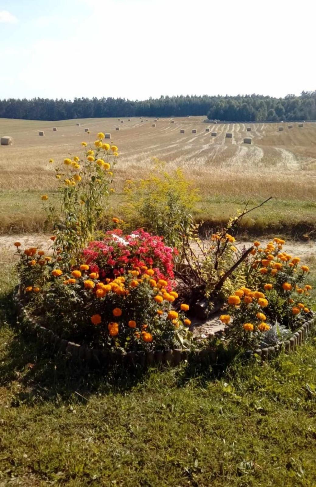 Wczasy Na Kaszubach U Hani Wiele Exterior foto